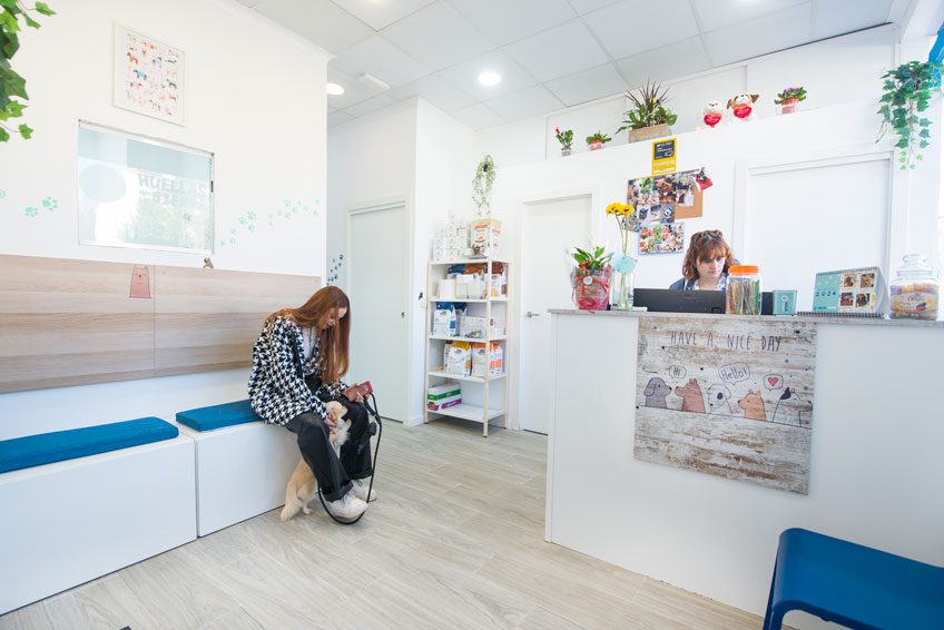 Centro de salud para mascotas