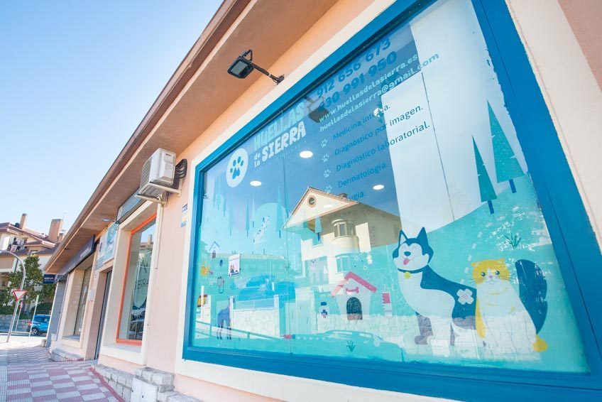 Centro de salud para tu mascota