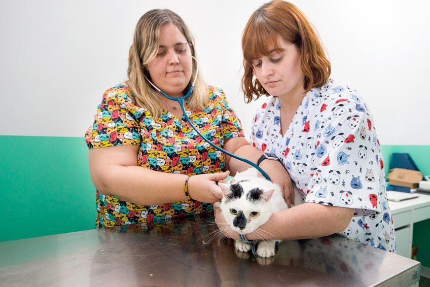 Clínica veterinaria Huellas de la Sierra