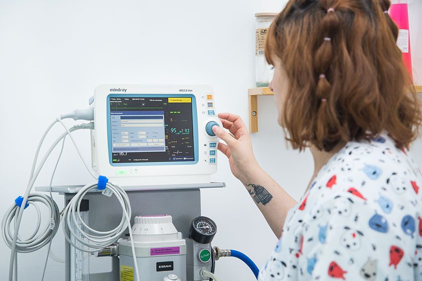 Tecnología de salud para mascotas