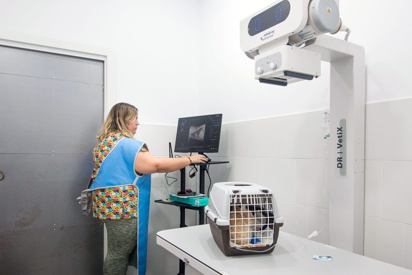 Veterinario en Moralzarzal