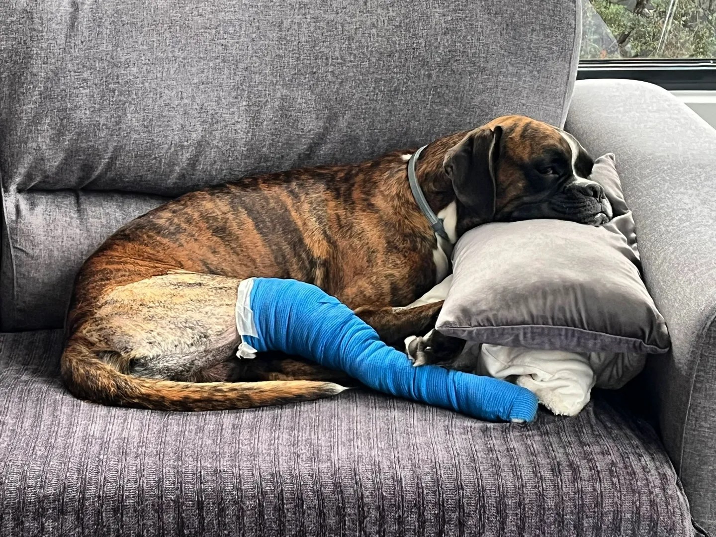 Cirugía y anestesia